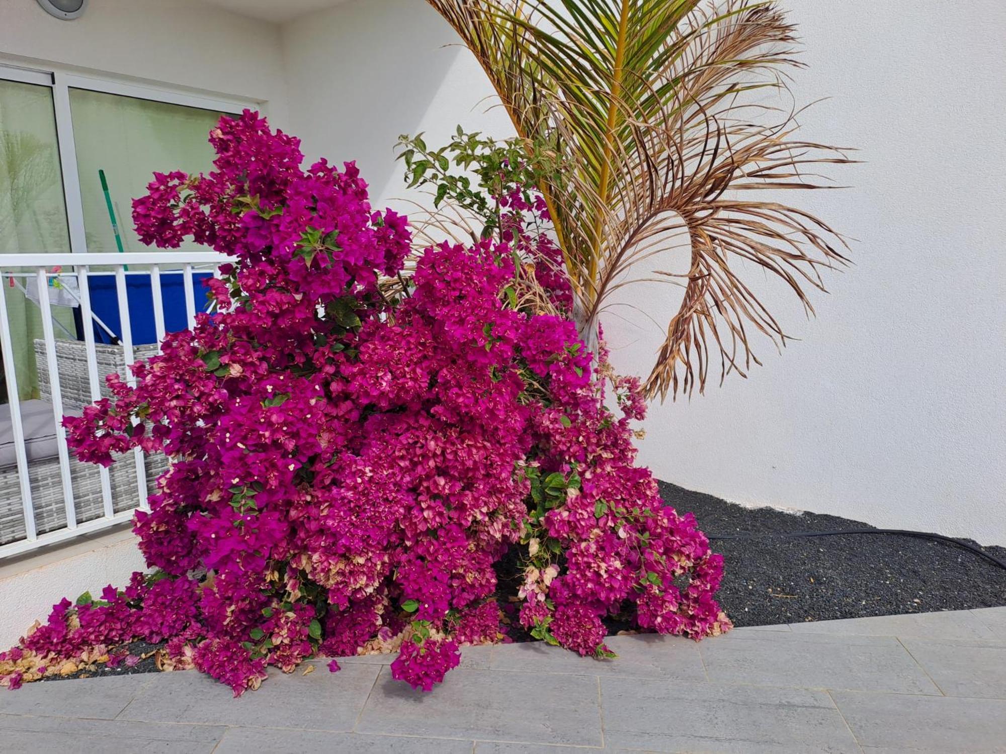 Luxury Sea View Senator Lanzarote Costa Teguise Exterior foto